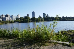P1000171